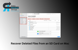 SD card recovery